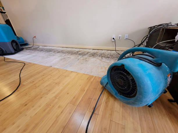 Professional Basement Flood Cleanup technician working in Rush Valley, UT